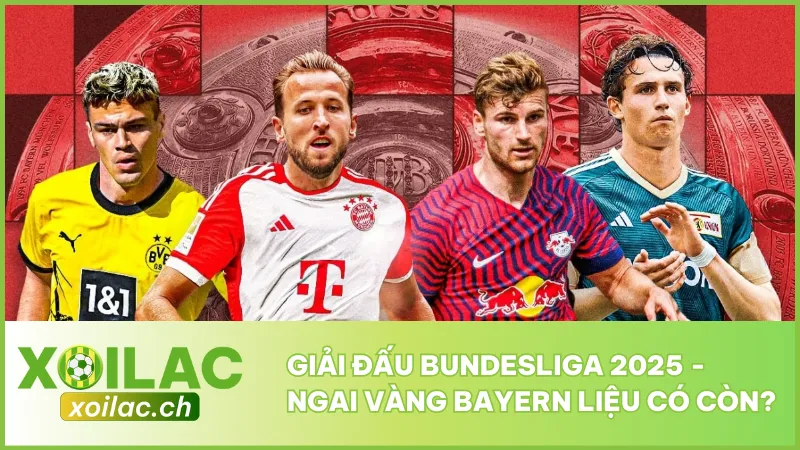 Giải Đấu Bundesliga 2025 - Ngai Vàng Bayern Liệu Có Còn? 1 Giải Đấu Bundesliga 2025 - Ngai Vàng Bayern Liệu Có Còn?