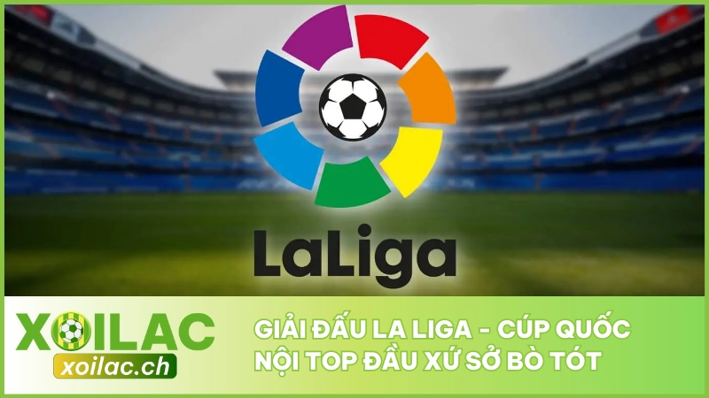 Giải Đấu La Liga - Cúp Quốc Nội Top Đầu Xứ Sở Bò Tót 1 Giải Đấu La Liga - Cúp Quốc Nội Top Đầu Xứ Sở Bò Tót