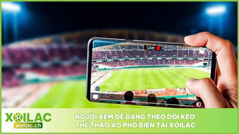 Thể Thao Ảo - Cập Nhật Trận Đấu 24/7 Với Giải Top Đầu 5 Người xem dễ dàng theo dõi kèo thể thao ảo phổ biến tại Xoilac