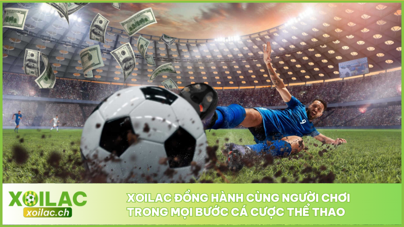 Cá Cược Thể Thao - Xu Hướng Dự Đoán Sinh Lời Chuẩn 2025 4 Xoilac đồng hành cùng người chơi trong mọi bước cá cược thể thao
